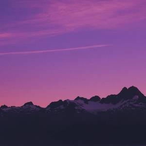 国模叶桐大胆瓣开下部
