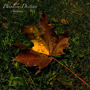 国模叶桐大胆瓣开下部
