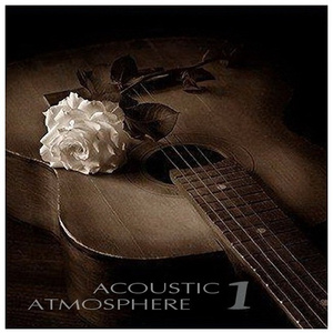 国模叶桐大胆瓣开下部
