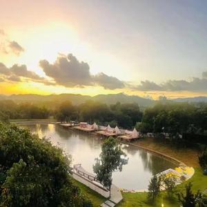 国模叶桐大胆瓣开下部
